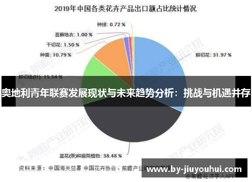 奥地利青年联赛发展现状与未来趋势分析：挑战与机遇并存